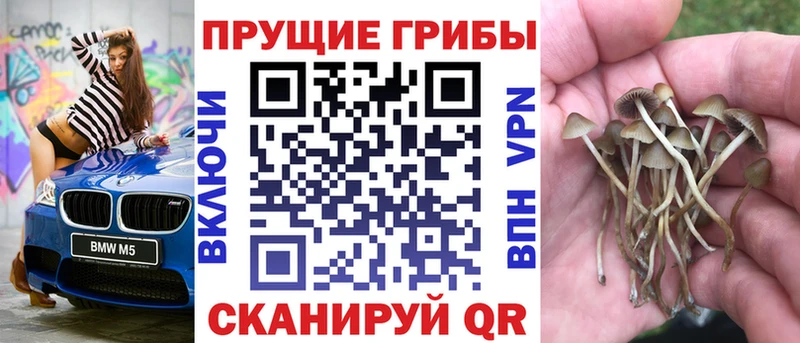 Псилоцибиновые грибы мицелий хочу наркоту Омск